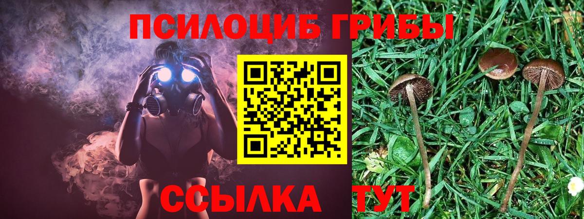 Галлюциногенные грибы мицелий Балашиха