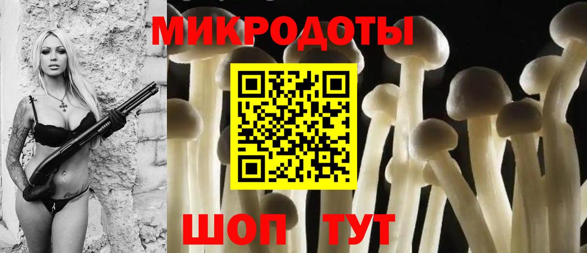 цены   Вход с VPN  Балашиха  Псилоцибиновые грибы GOLDEN TEACHER 
